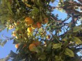 /album/fotogalerie-uvod/img-0296-jpg1/